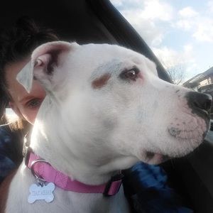 Meet your Posher, Christina